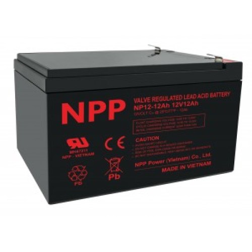 NP 12-12